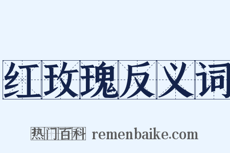 红玫瑰反义词是什么意思的图片